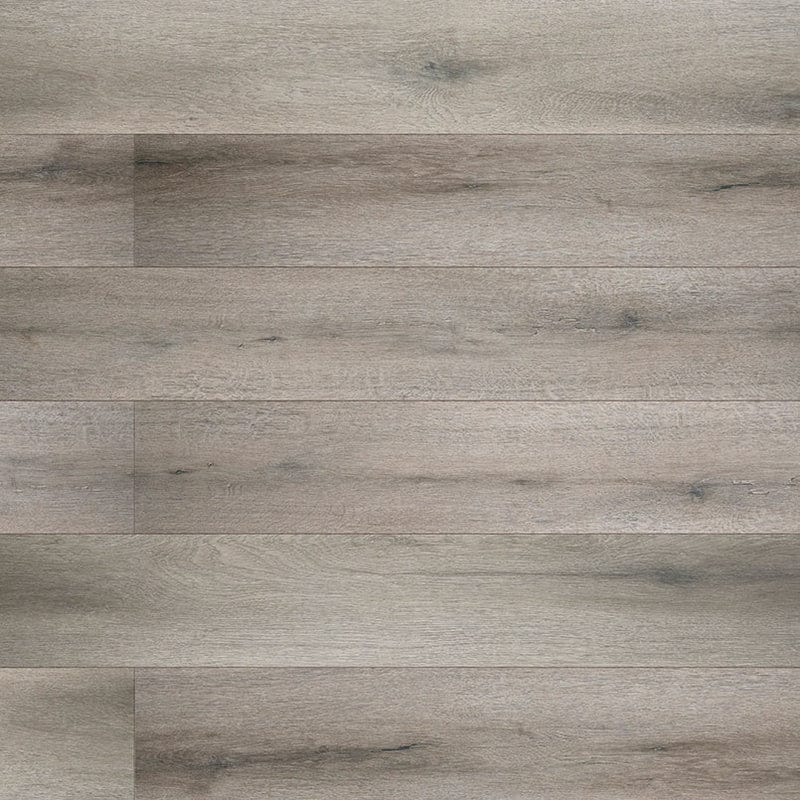 Avery Ash | SmithcliffsTM Collection