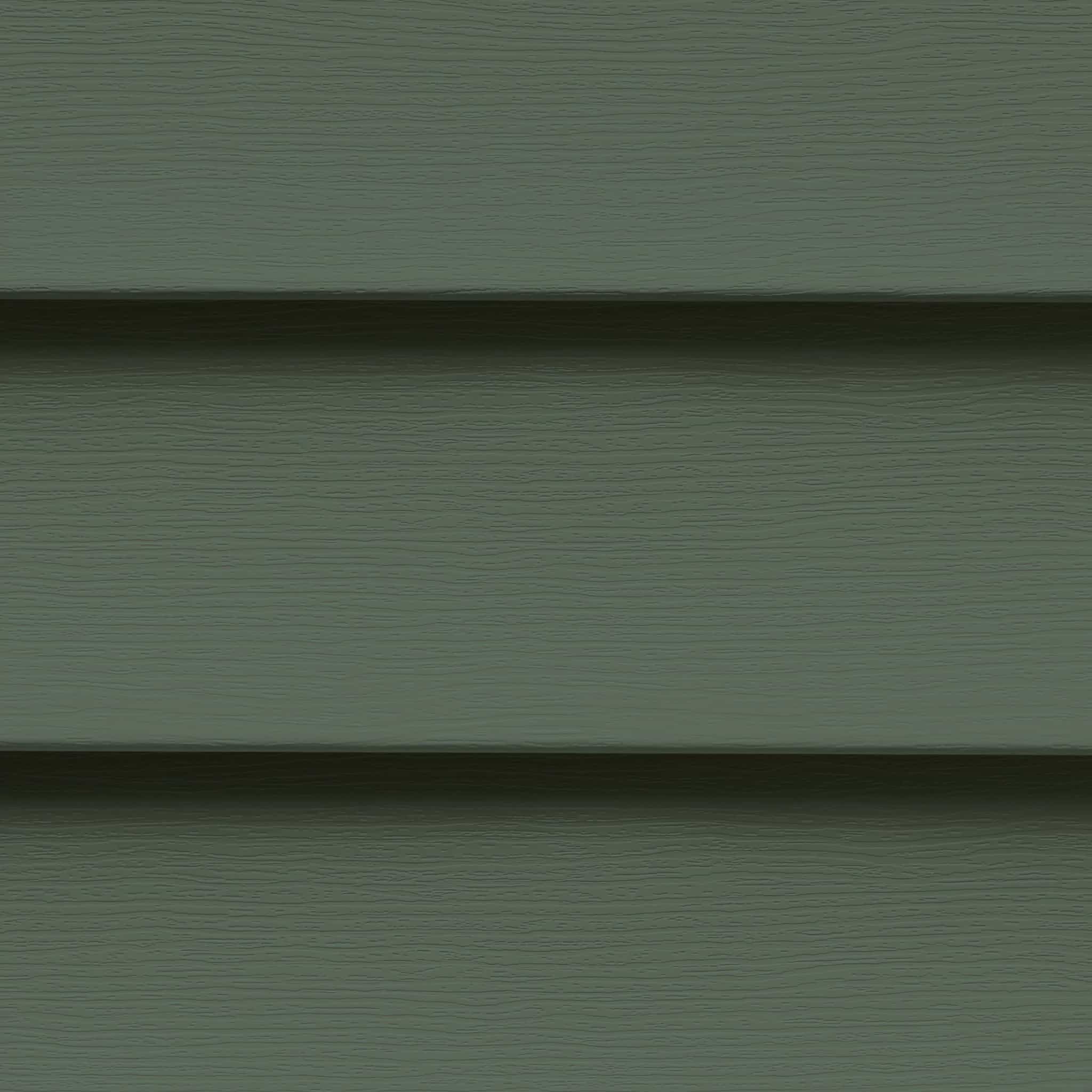 MainStreet siding Forest