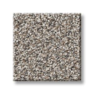 Mushroom 00111 | Cape Canaveral Accent