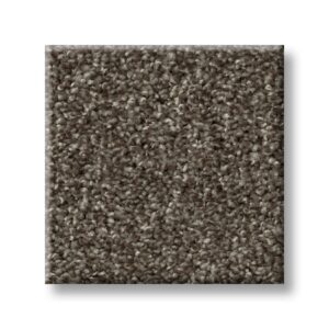 Coffee Bean 00720 | Tweed Cape Canaveral