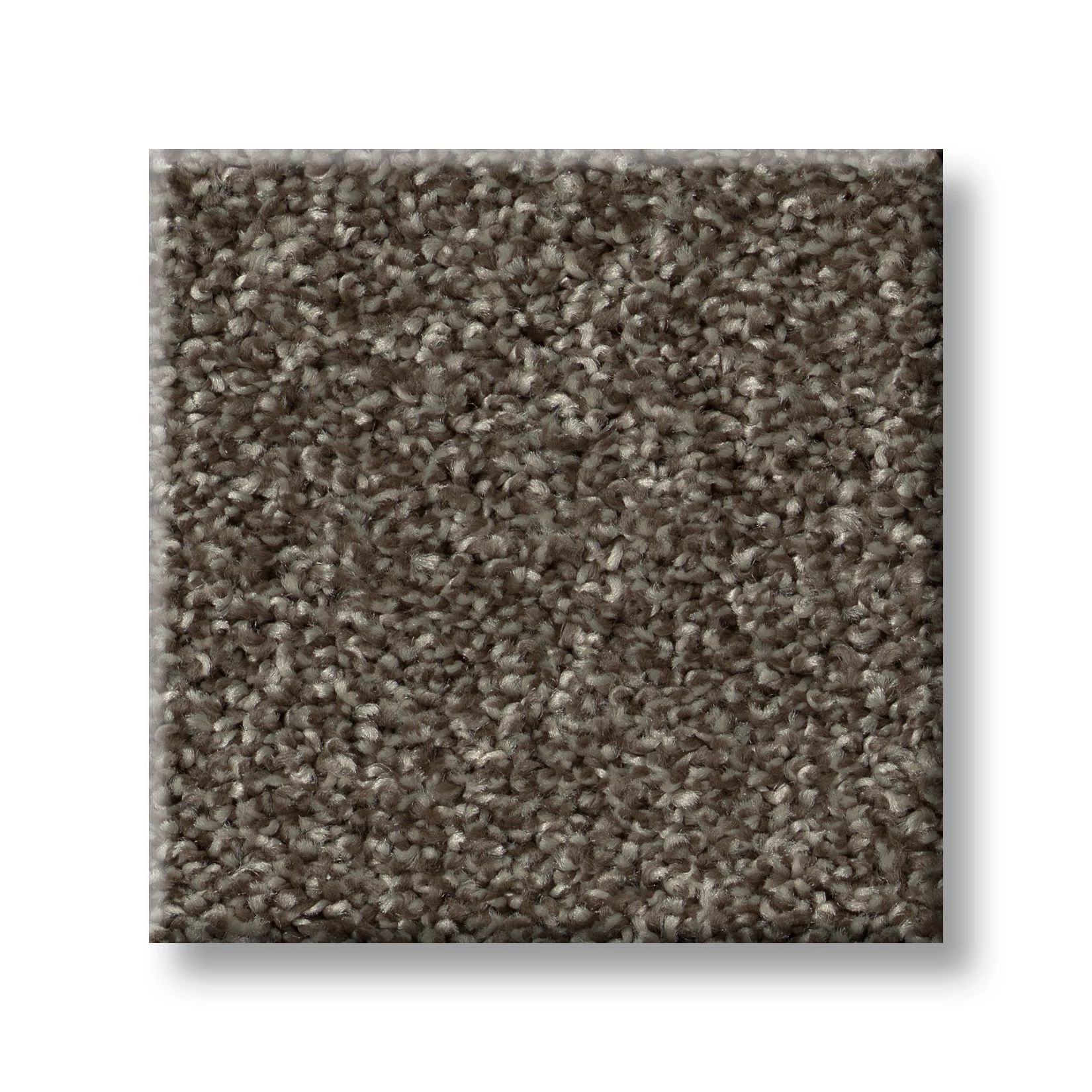 Coffee Bean 00720 | Tweed Cape Canaveral
